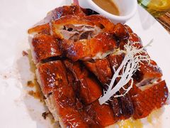 -猪肉婆私房菜(容桂总店)