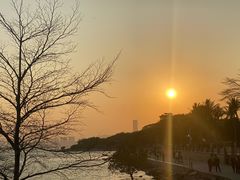 -深圳湾公园(南山区)