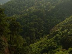 -缙云山景区