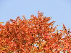 -南翠屏公园