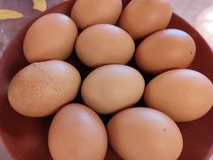 -满福隆酒楼(万绿园店)