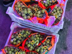 -双福水果批发市场