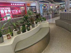 -茶芭蕾·新疆酸奶(美美1店)