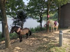 -宁波九龙湖开元度假村