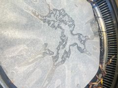 -梨花自助烤肉(西三旗万象汇黑金店)