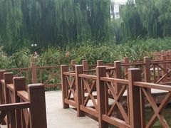 -丰台科技园生态主题公园