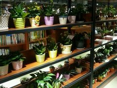 -新华书店(印象城店)