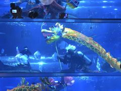 -海合安天津极地海洋公园