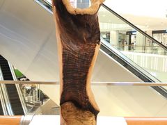 -光启城时尚购物中心