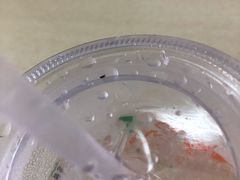 -老西关濑粉(文明路店)