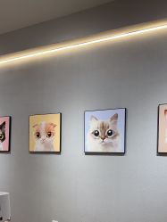 -洗脸猫·洗脸吧