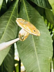 -烨麟黄金珠宝(和胤788广场一楼店)