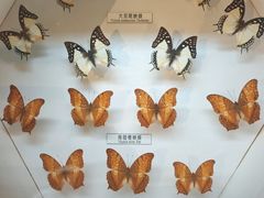 -青藏高原自然博物馆