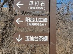 -阳台山自然风景区