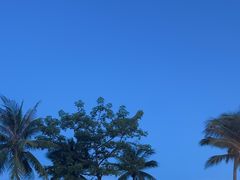 -JW万豪厨房餐厅·滨海草坪烧烤·海鲜·海景(三亚绿发山海天JW万豪酒店)