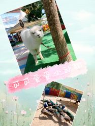 -萌宠亲子动物乐园(槐房万达店)