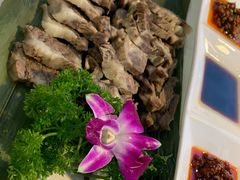 -云中小雅