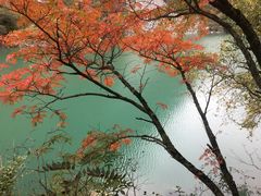 -叠溪松坪沟景区