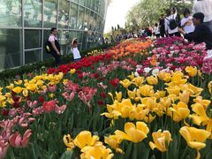 -石家庄市植物园