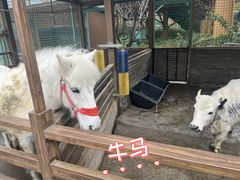 -杭州开元森泊度假乐园