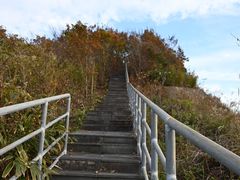 -江南天池