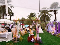 -圣爵菲斯大酒店(长沙世界之窗店)