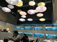 -同乐轩港式早茶