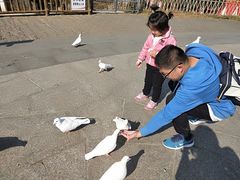 -无锡动物园·太湖欢乐园