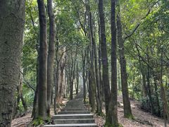 -火炉山森林公园