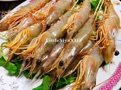 -金砂阿洲鱼册店