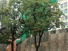 -大馆(前中区警署建築群)