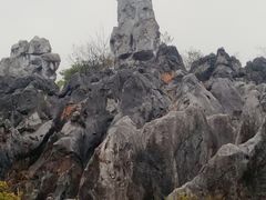 -千岛湖石林