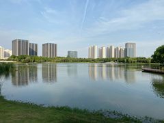 -南翔镇银翔湖公园