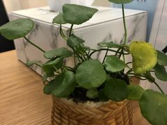 -爸爸糖吐司面包(南京奥体店)