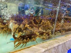 -青石桥市场北1-27号