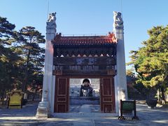-清东陵