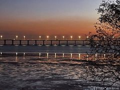 -宝安西湾红树林湿地公园