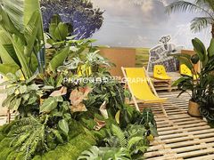 -帕帕拉兹宠物(亚洲旗舰店)