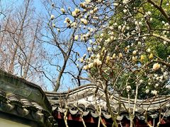 -上海醉白池公园