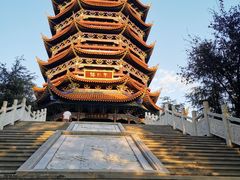 -铁山坪森林公园