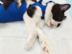 -拜鲁耶动物诊疗中心·宠家动物医院