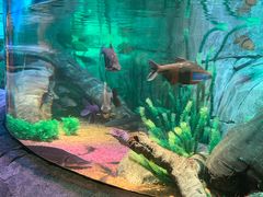 -沈阳海洋探索中心