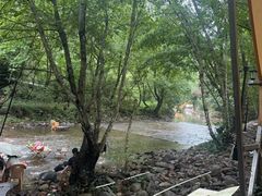 -西塔大冷面(市府大路店)