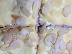 -昆山招商花园城