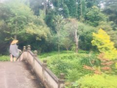 -和顺柏联温泉
