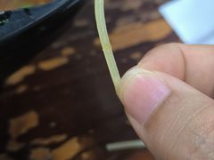 -一品飘香米线(一中总店)