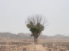 -广富林郊野公园
