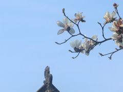 -长春观