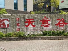 -华蓥山天意谷景区