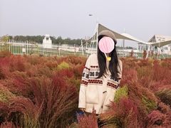 -天津东丽湖风景区